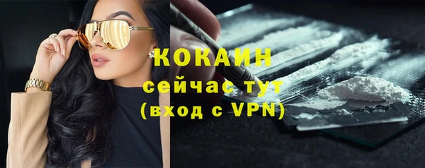 МДПВ Козловка