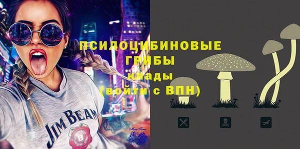 mdpv Кодинск