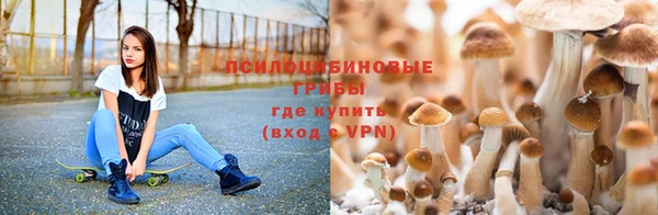 МДПВ Козловка