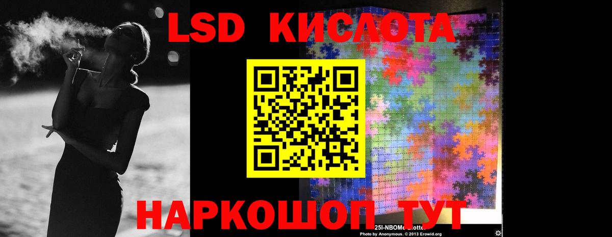 ЛСД экстази ecstasy  блэк спрут рабочий сайт  Вход с VPN  Бердск  ЛСД экстази кислота 