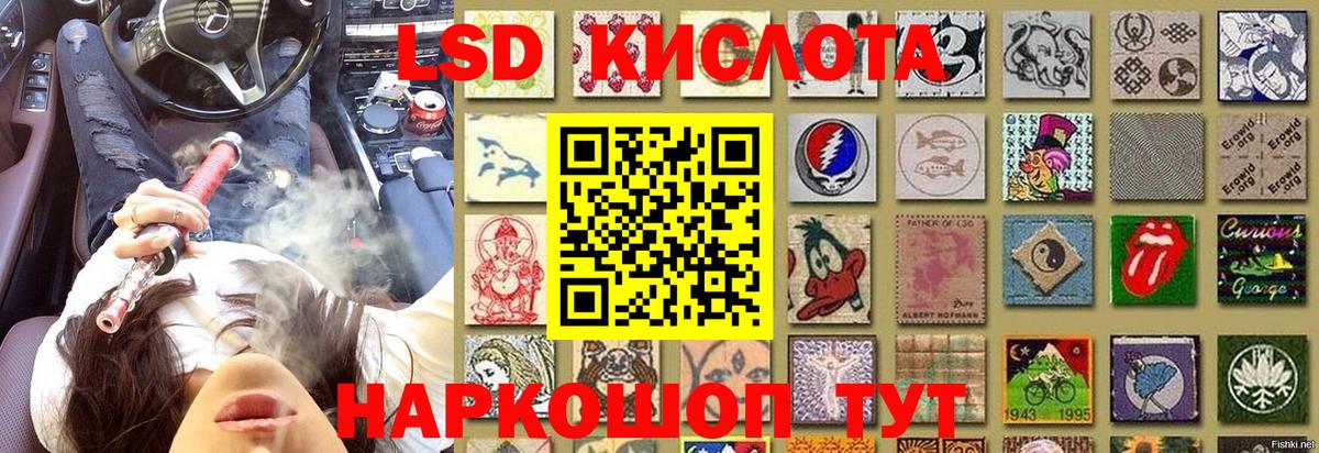 Экстази  Меф МЯУ МЯУ  APVP СК кристаллы  Вход с VPN  Бердск  ГАШИШ  ГАШИШ  Мефедрон  