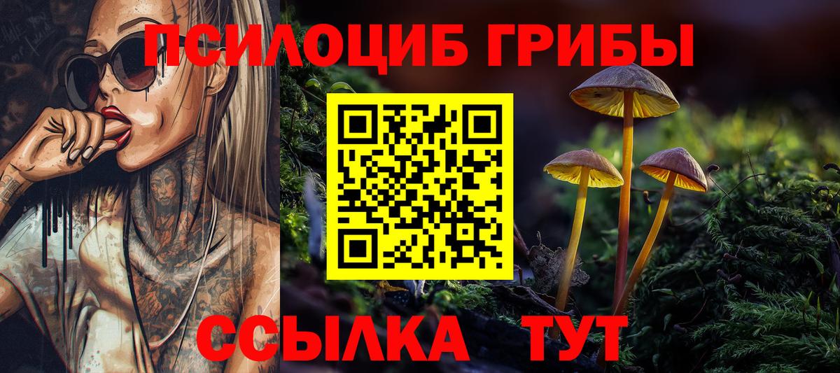 Галлюциногенные грибы Psilocybine cubensis Бердск