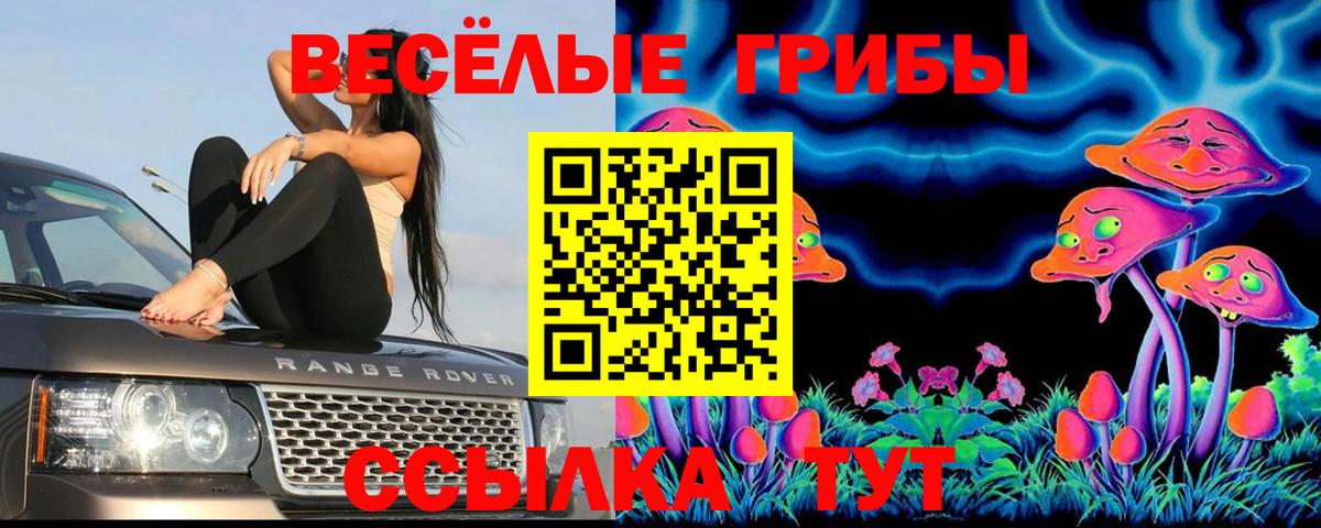 Псилоцибиновые грибы Psilocybe  Бердск 